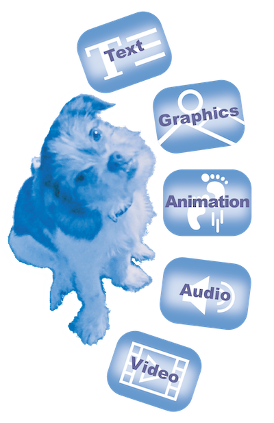 A dog looking at text, graphics, animation, audio, and video.